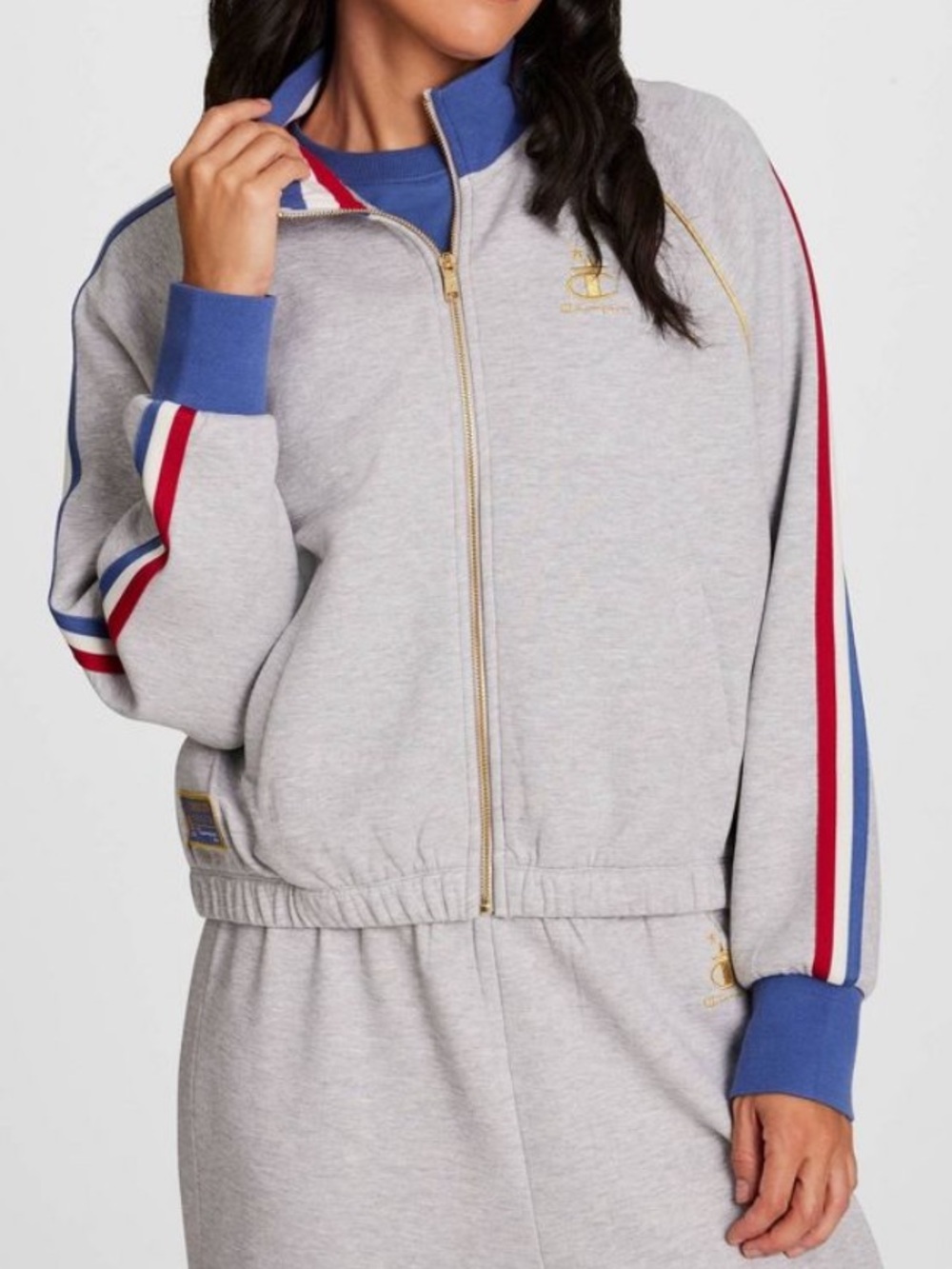 Champion Gold Medal Game Day Full Zip Oxford Size Large in Heather Gray